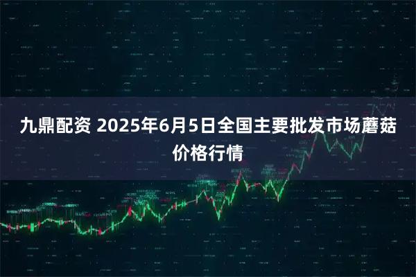 九鼎配资 2025年6月5日全国主要批发市场蘑菇价格行情