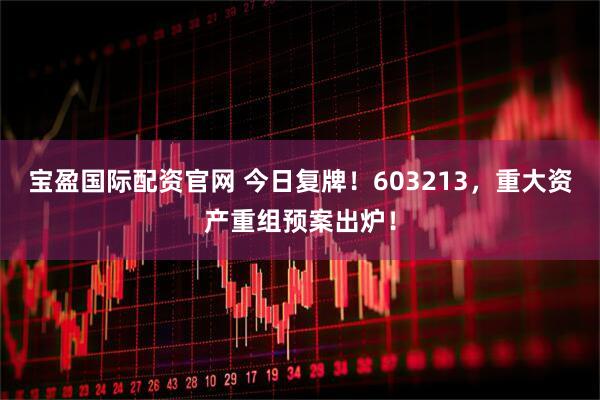 宝盈国际配资官网 今日复牌！603213，重大资产重组预案出炉！