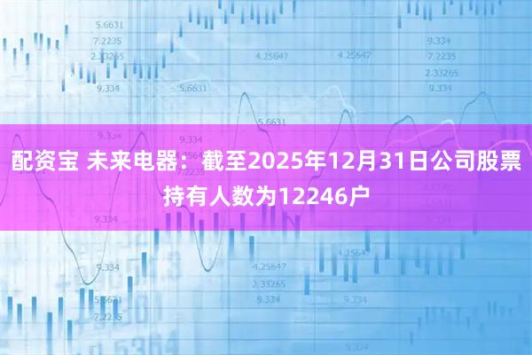配资宝 未来电器：截至2025年12月31日公司股票持有人数为12246户